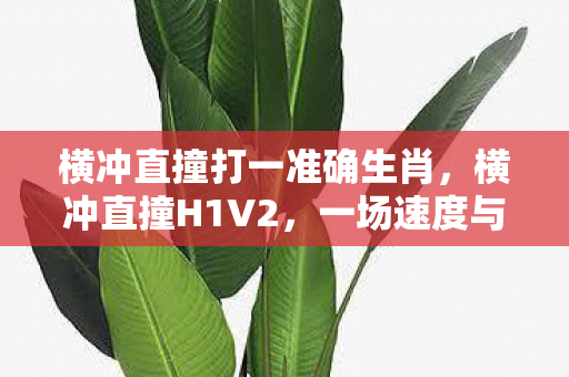 横冲直撞打一准确生肖，横冲直撞H1V2，一场速度与激情的较量
