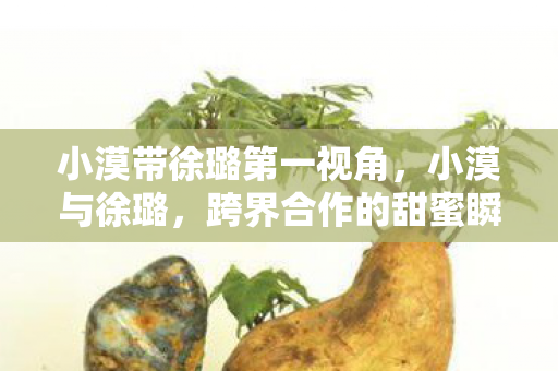 小漠带徐璐第一视角，小漠与徐璐，跨界合作的甜蜜瞬间