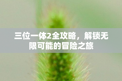 三位一体2全攻略，解锁无限可能的冒险之旅