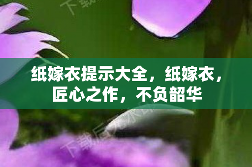 纸嫁衣提示大全，纸嫁衣，匠心之作，不负韶华