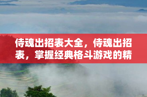 侍魂出招表大全，侍魂出招表，掌握经典格斗游戏的精髓