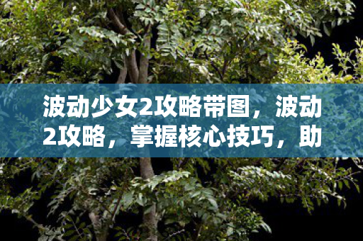 波动少女2攻略带图,波动2攻略,掌握核心技巧,助你轻松通关 波动少女2攻略带图,波动2攻略,掌握核心技巧,助你轻松通关
