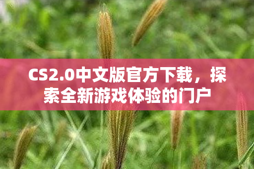 CS2.0中文版官方下载，探索全新游戏体验的门户