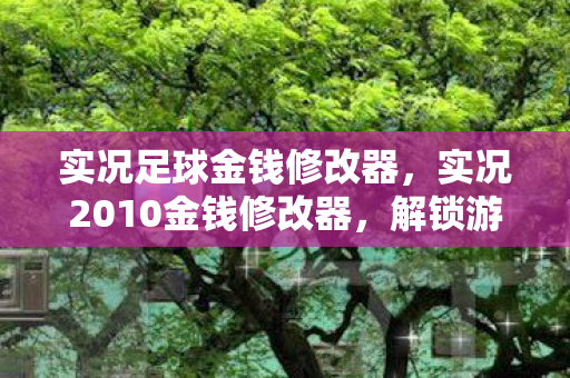 实况足球金钱修改器，实况2010金钱修改器，解锁游戏新体验