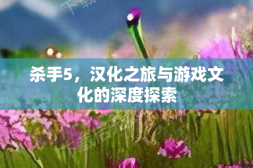 杀手5，汉化之旅与游戏文化的深度探索