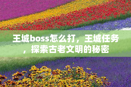 王城boss怎么打，王城任务，探索古老文明的秘密