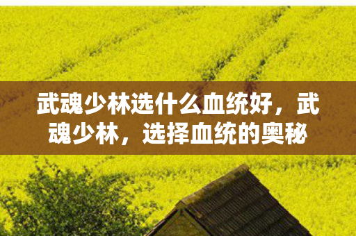 武魂少林选什么血统好，武魂少林，选择血统的奥秘