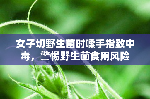 女子切野生菌时嗦手指致中毒，警惕野生菌食用风险