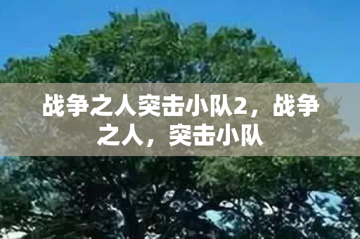 战争之人突击小队2，战争之人，突击小队