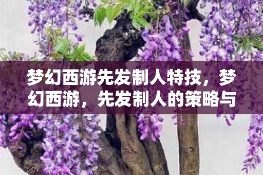 梦幻西游先发制人特技图片