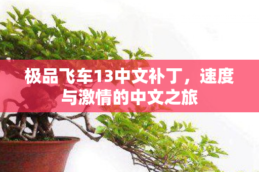 极品飞车13中文补丁，速度与激情的中文之旅