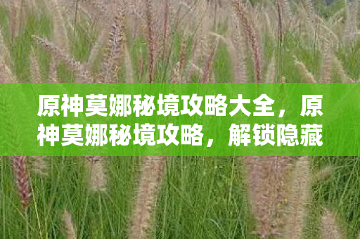 原神莫娜秘境攻略大全，原神莫娜秘境攻略，解锁隐藏宝藏，挑战秘境难关