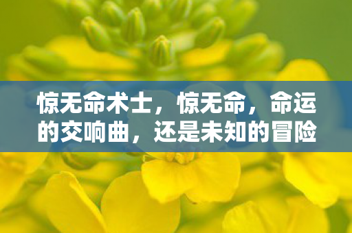 惊无命术士，惊无命，命运的交响曲，还是未知的冒险？