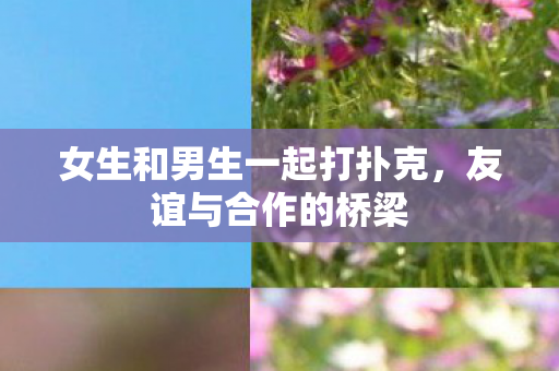 女生和男生一起打扑克，友谊与合作的桥梁