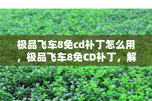 极品飞车8免cd补丁怎么用，极品飞车8免CD补丁，解锁速度与激情的必备神器