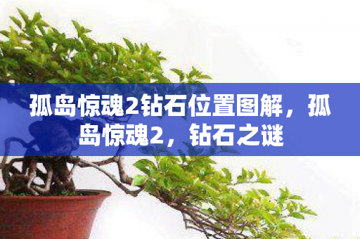 孤岛惊魂2钻石位置图解，孤岛惊魂2，钻石之谜