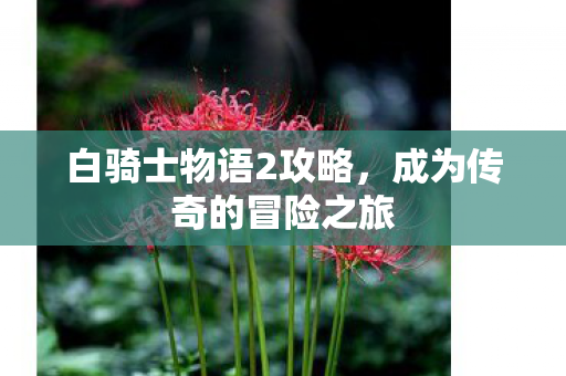 白骑士物语2攻略，成为传奇的冒险之旅