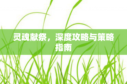 灵魂献祭，深度攻略与策略指南