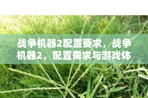 配置需求与游戏体验优化指南图片