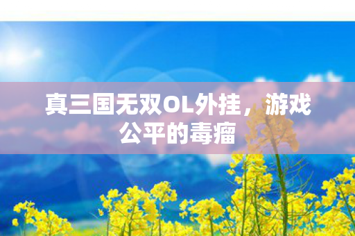 真三国无双OL外挂，游戏公平的毒瘤