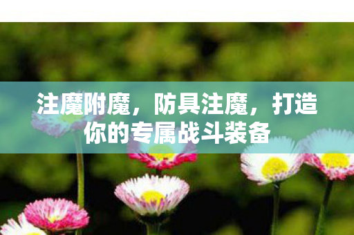 注魔附魔，防具注魔，打造你的专属战斗装备