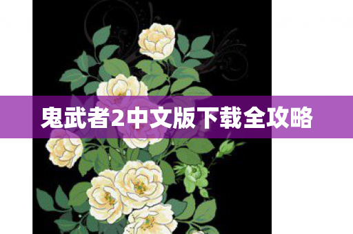 鬼武者2中文版下载全攻略