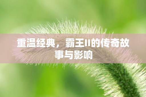 重温经典，霸王II的传奇故事与影响