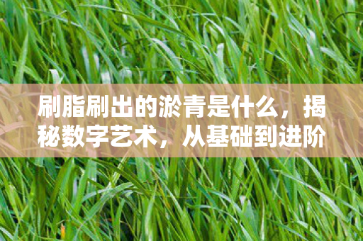 刷脂刷出的淤青是什么,揭秘数字艺术,从基础到进阶的全面指南 刷脂刷出的淤青是什么,揭秘数字艺术,从基础到进阶的全面指南