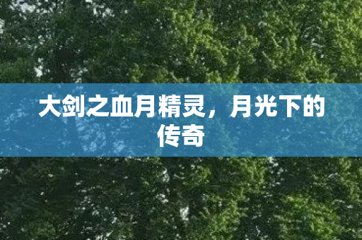 大剑之血月精灵,月光下的传奇 大剑之血月精灵,月光下的传奇