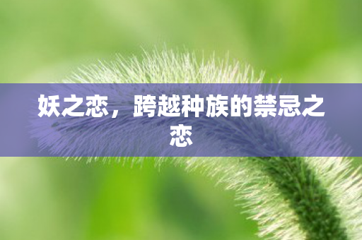 妖之恋，跨越种族的禁忌之恋