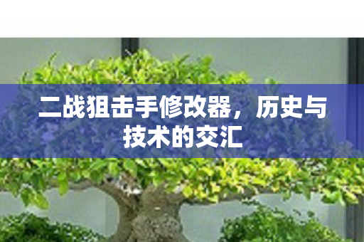 二战狙击手修改器,历史与技术的交汇 二战狙击手修改器,历史与技术的交汇