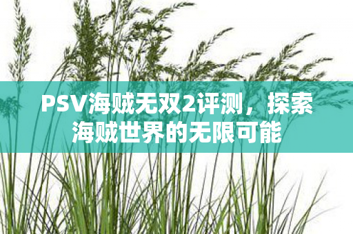 PSV海贼无双2评测，探索海贼世界的无限可能