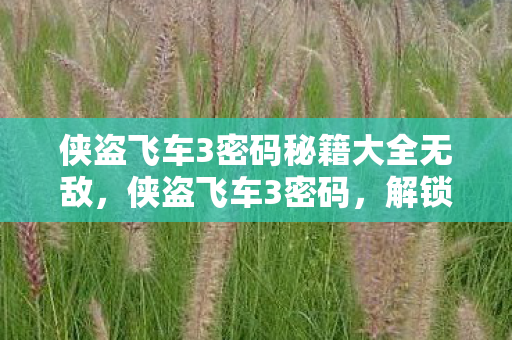 侠盗飞车3密码秘籍大全无敌，侠盗飞车3密码，解锁隐藏功能与秘籍