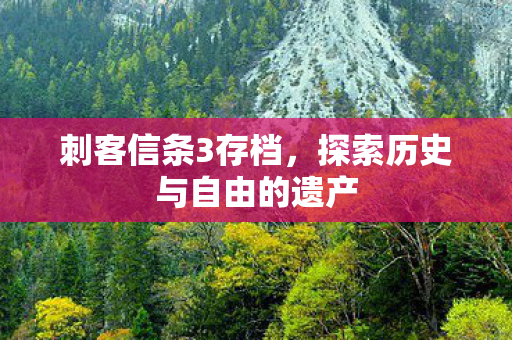 刺客信条3存档，探索历史与自由的遗产