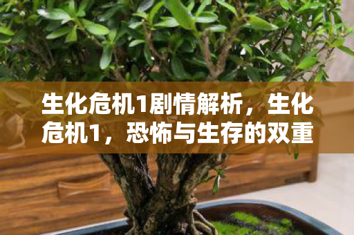 生化危机1剧情解析，生化危机1，恐怖与生存的双重挑战