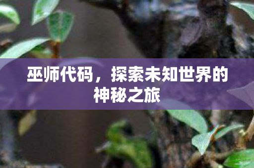巫师代码，探索未知世界的神秘之旅
