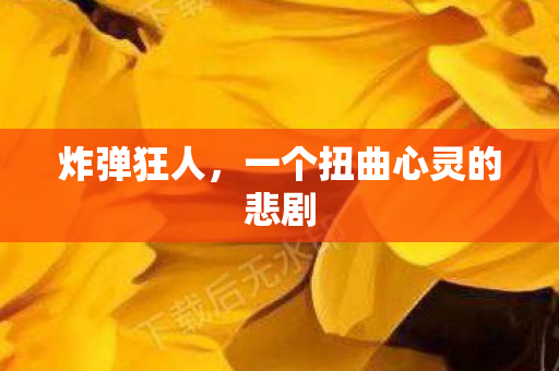 炸弹狂人，一个扭曲心灵的悲剧