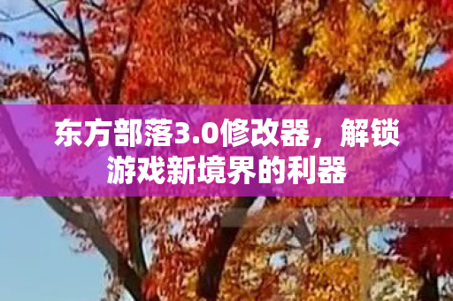 东方部落3.0修改器，解锁游戏新境界的利器