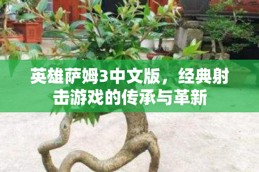 英雄萨姆3中文版，经典射击游戏的传承与革新