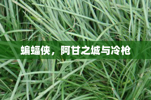 蝙蝠侠，阿甘之城与冷枪