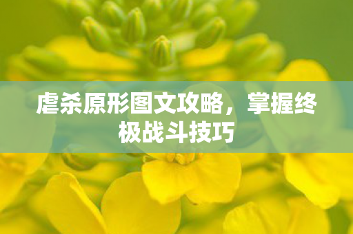 虐杀原形图文攻略，掌握终极战斗技巧