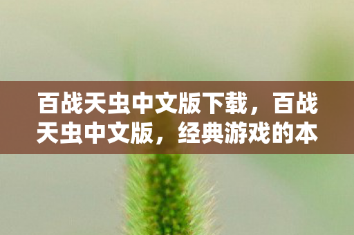 百战天虫中文版下载,百战天虫中文版,经典游戏的本地化之旅 百战天虫中文版下载,百战天虫中文版,经典游戏的本地化之旅