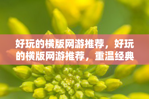 好玩的横版网游推荐，好玩的横版网游推荐，重温经典，挑战无限