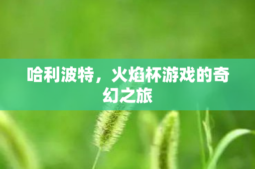 哈利波特,火焰杯游戏的奇幻之旅 哈利波特,火焰杯游戏的奇幻之旅