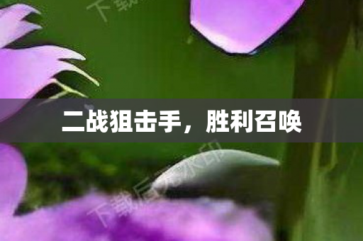 二战狙击手，胜利召唤