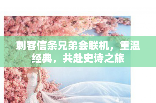 刺客信条兄弟会联机,重温经典,共赴史诗之旅 刺客信条兄弟会联机,重温经典,共赴史诗之旅