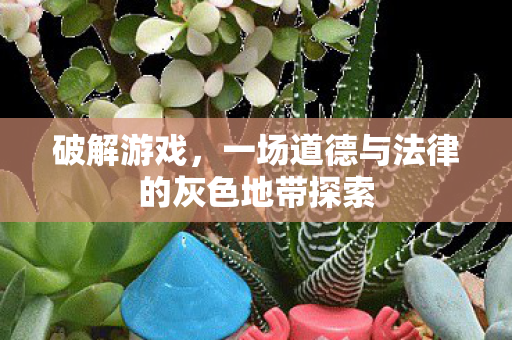 破解游戏，一场道德与法律的灰色地带探索