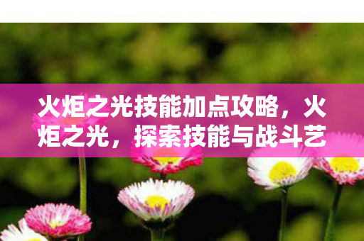 火炬之光技能加点攻略，火炬之光，探索技能与战斗艺术的完美结合