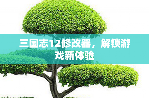 三国志12修改器，解锁游戏新体验