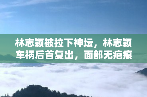 林志颖被拉下神坛，林志颖车祸后首复出，面部无疤痕